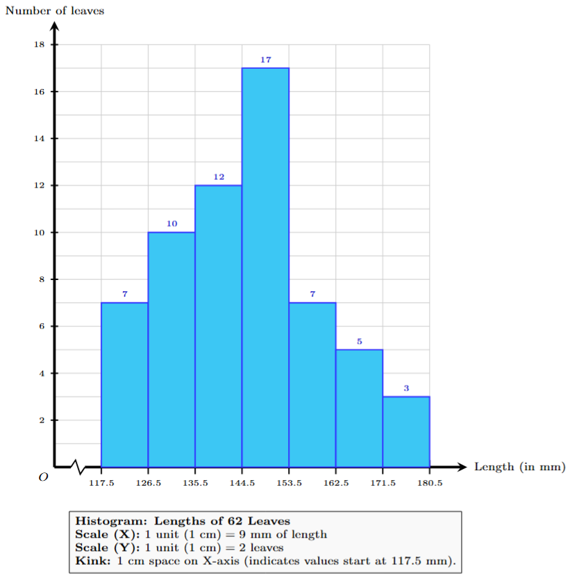 Histogram of lengths of leaves