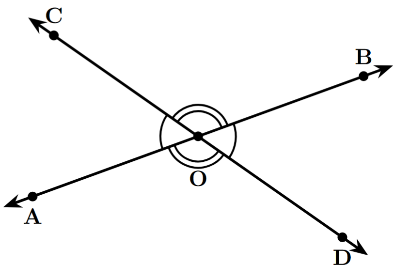 Two lines, AB and CD, intersecting at a point O, forming four angles. The vertically opposite angles are shown.