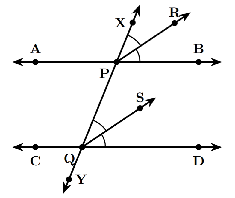 Two parallel lines AB and CD are intersected by a transversal XY at points P and Q. A pair of corresponding angles, XPB and PQD, are shown. Rays PR and QS are the bisectors of these two angles, respectively.