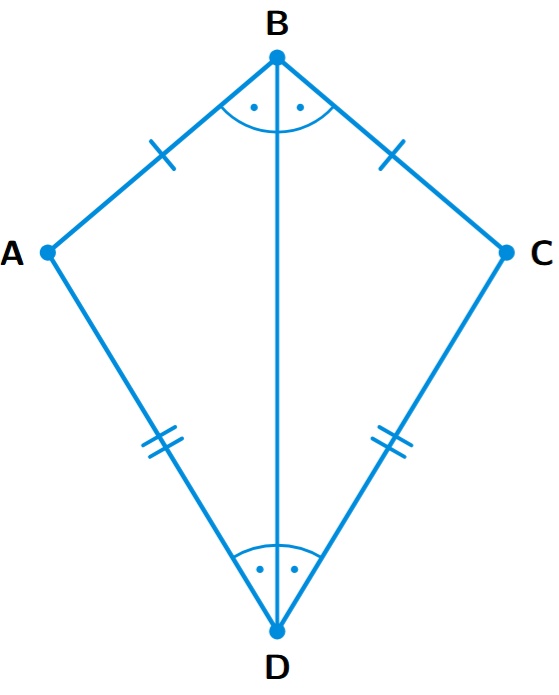 A kite-shaped quadrilateral ABCD with the diagonal BD drawn. The sides AB and BC are equal, and the sides AD and CD are equal.