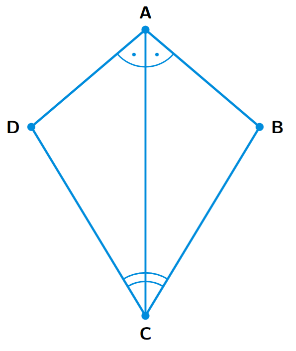 A quadrilateral ABCD, which looks like a kite, with the diagonal AC drawn. The angles at vertices A and C are marked to show that AC bisects them.
