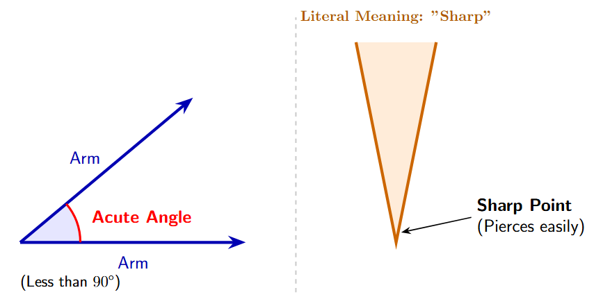 An image comparing a sharp arrowhead with an acute angle, showing the visual similarity.