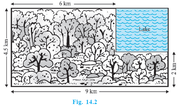 Page 211 Chapter 14 Class 10th Maths NCERT