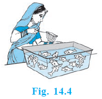 Page 215 Chapter 14 Class 10th Maths NCERT