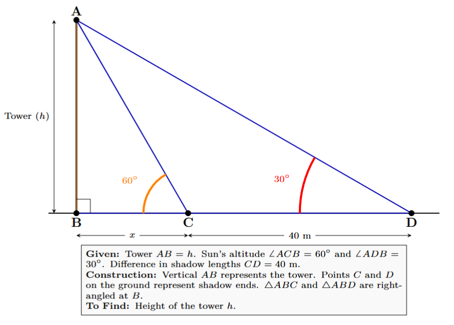 Diagram showing a tower casting two shadows of different lengths corresponding to two angles of elevation from points on the ground.