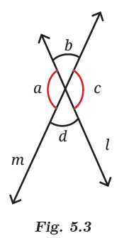Fig. 5.3