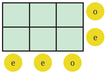 2 x 3 parity grid