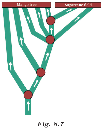 Ant colony splitting path diagram