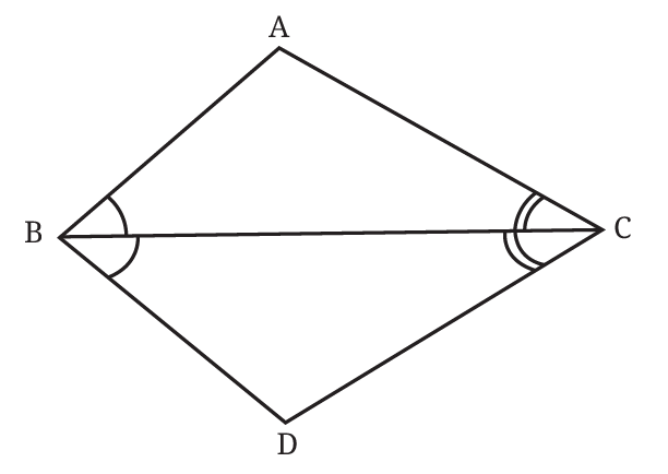Triangles ABC and DBC sharing base BC