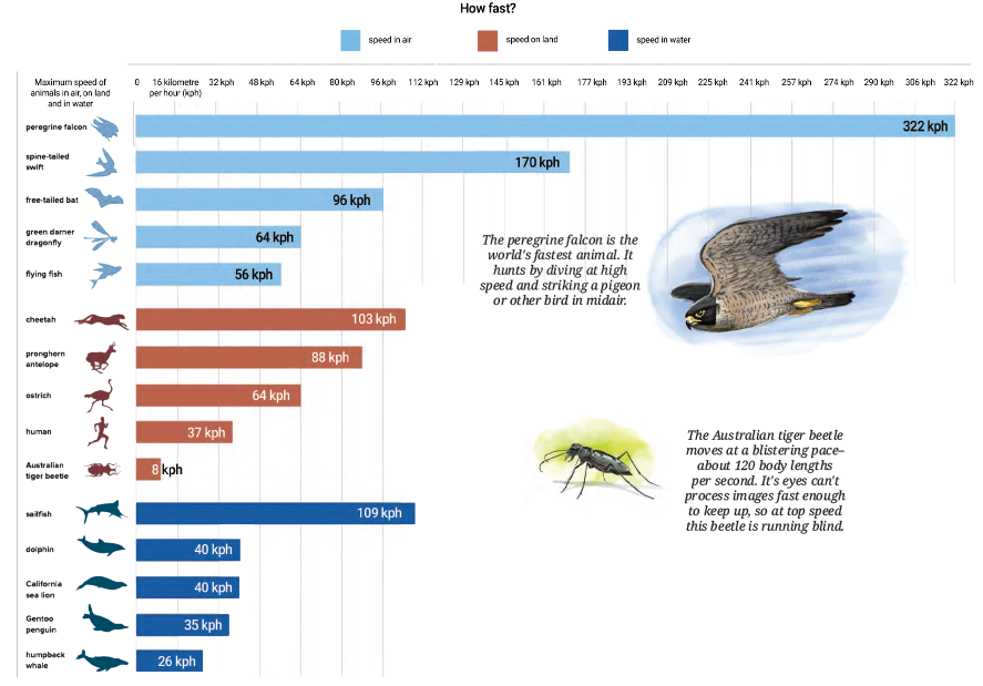 Infographic showing speeds of various animals in different environments