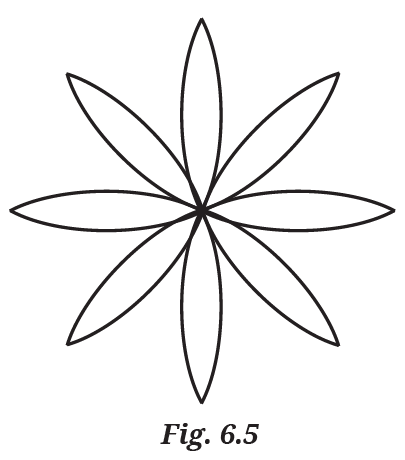 Figure 6.5 - 8-petalled figure