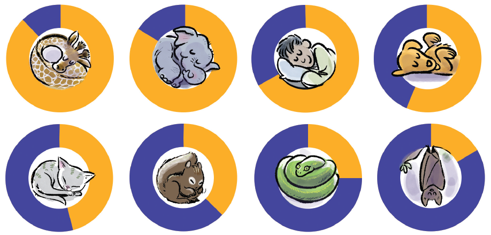 Charts showing sleep cycles of various animals