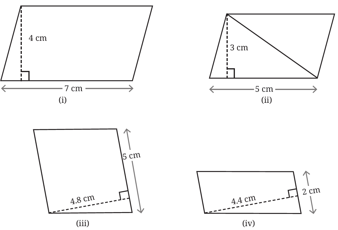 Four parallelograms with various base and height measurements
