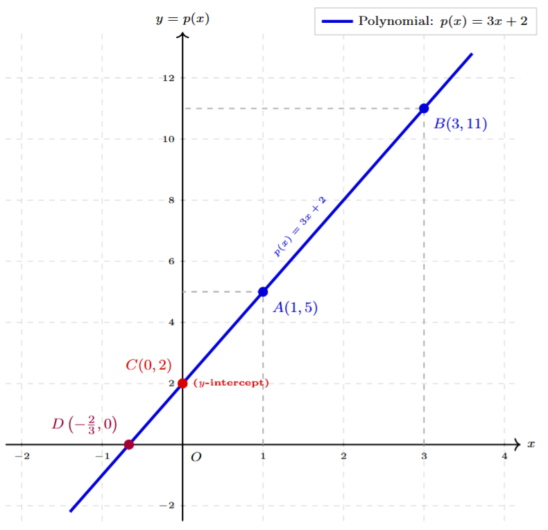 Graph of p(x) = 3x + 2 passing through identified points and intercepts