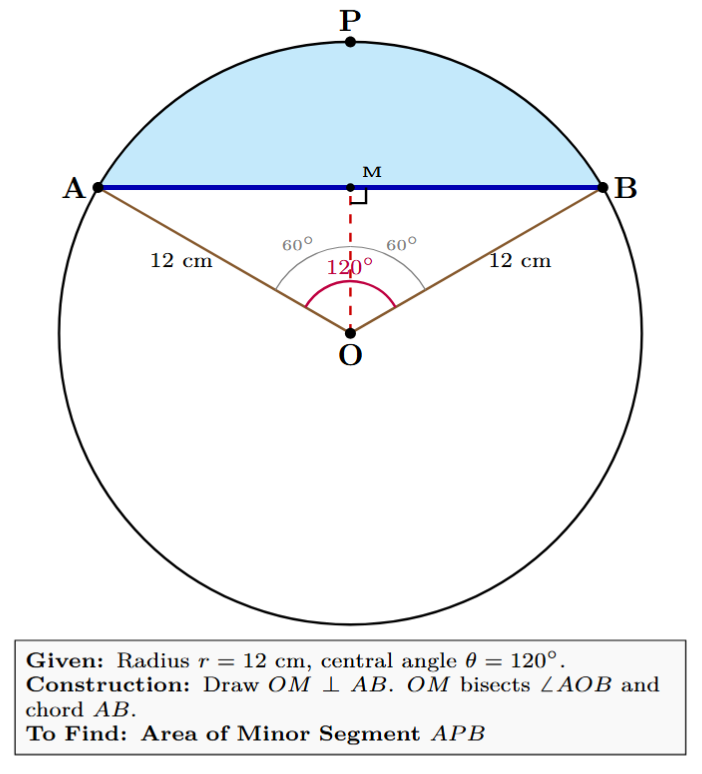 A circle with centre O and radius 12 cm. Chord AB subtends an angle of 120 degrees at the centre, forming the minor segment APB. The perpendicular OM bisects chord AB.