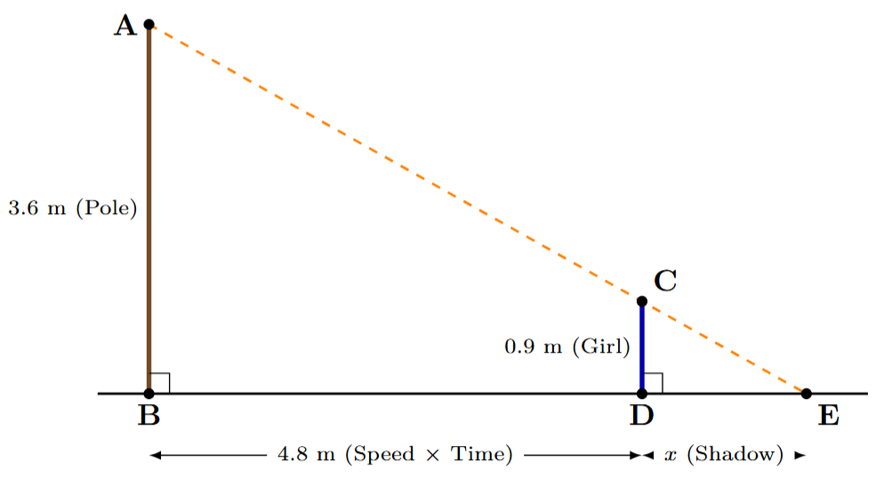 A diagram showing a vertical lamp-post AB and a girl CD standing on the ground. A light ray from A passes over C to form a shadow DE on the ground.