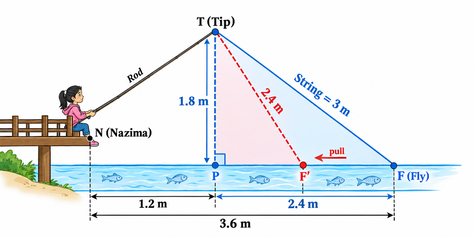 Diagram for the fishing problem. T is the tip of the rod, P is the point on water below it (TP = 1.8m). F is the initial fly position (PF = 2.4m). N is Nazima's position (NP = 1.2m). F' is the final fly position.