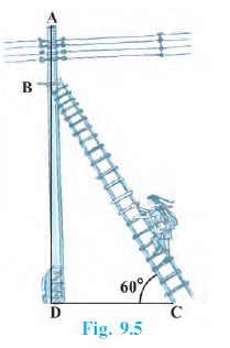 Page 198 Chapter 9 Class 10th Non-Rationalised NCERT 2019-20