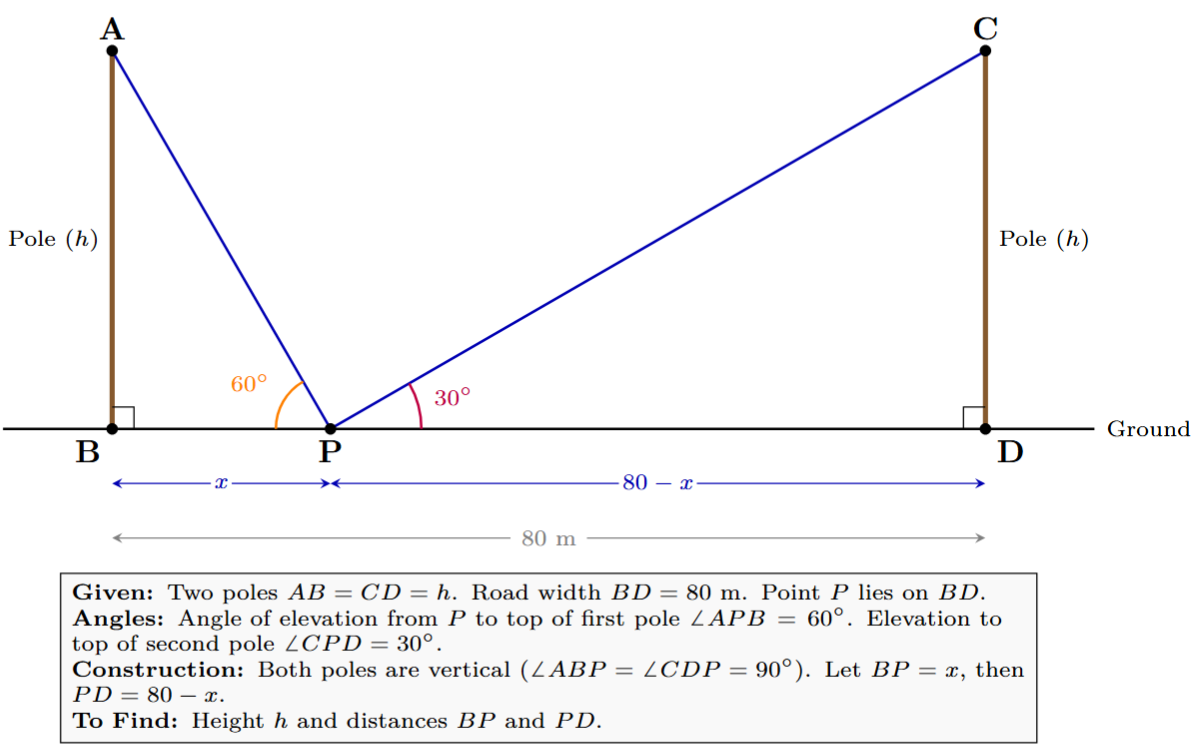 Diagram showing two poles (AB and CD) of equal height on opposite sides of a road (BD) which is 80m wide. From a point P on the road, the angle of elevation to the top of pole AB is 60 degrees and to the top of pole CD is 30 degrees.