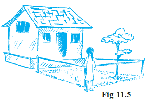 Page 207 Chapter 11 Class 7th Non-Rationalised NCERT 2019-20