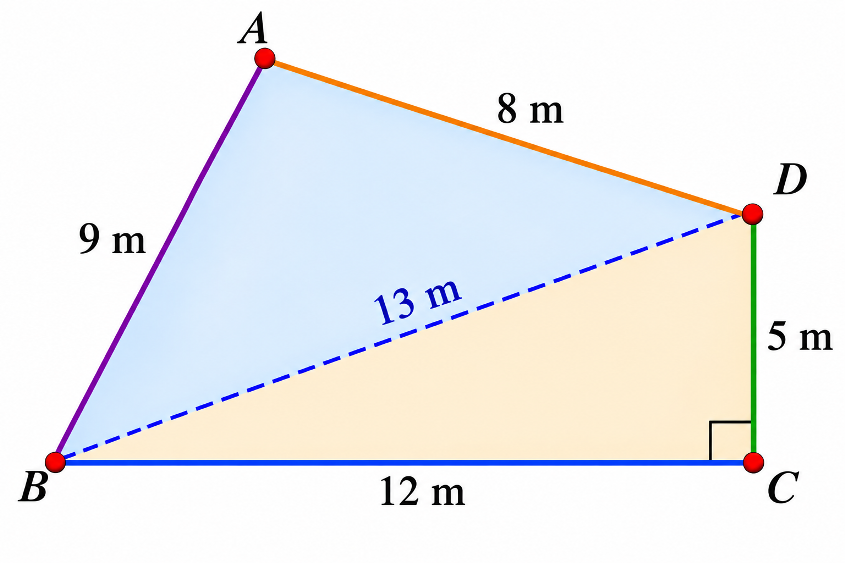 A quadrilateral park ABCD with given side lengths and a right angle at C. A diagonal BD is drawn, splitting the park into a right-angled triangle BCD and another triangle ABD.