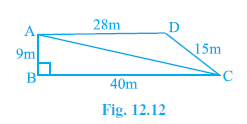 Page 204 Chapter 12 Class 9th Non-Rationalised NCERT 2019-20