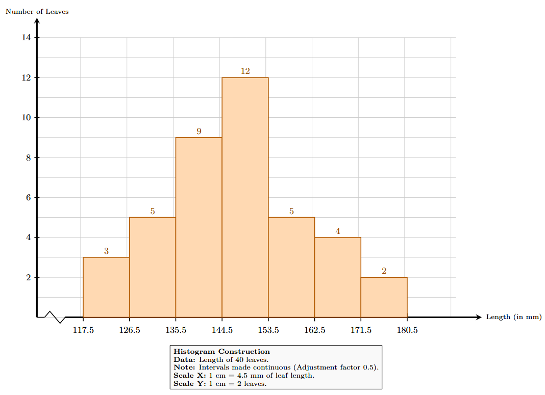 Histogram showing the length of 40 leaves of a plant.