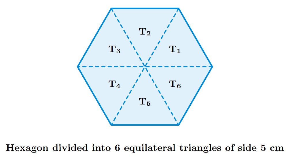 A regular hexagon with a side length of 5 cm, shown divided into 6 smaller equilateral triangles, each with a side length of 5 cm.
